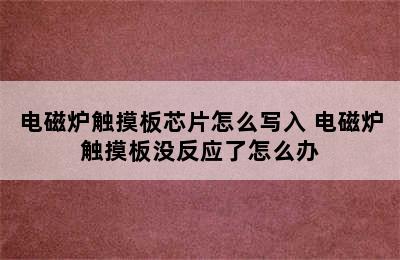 电磁炉触摸板芯片怎么写入 电磁炉触摸板没反应了怎么办